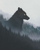 WolfIsReady