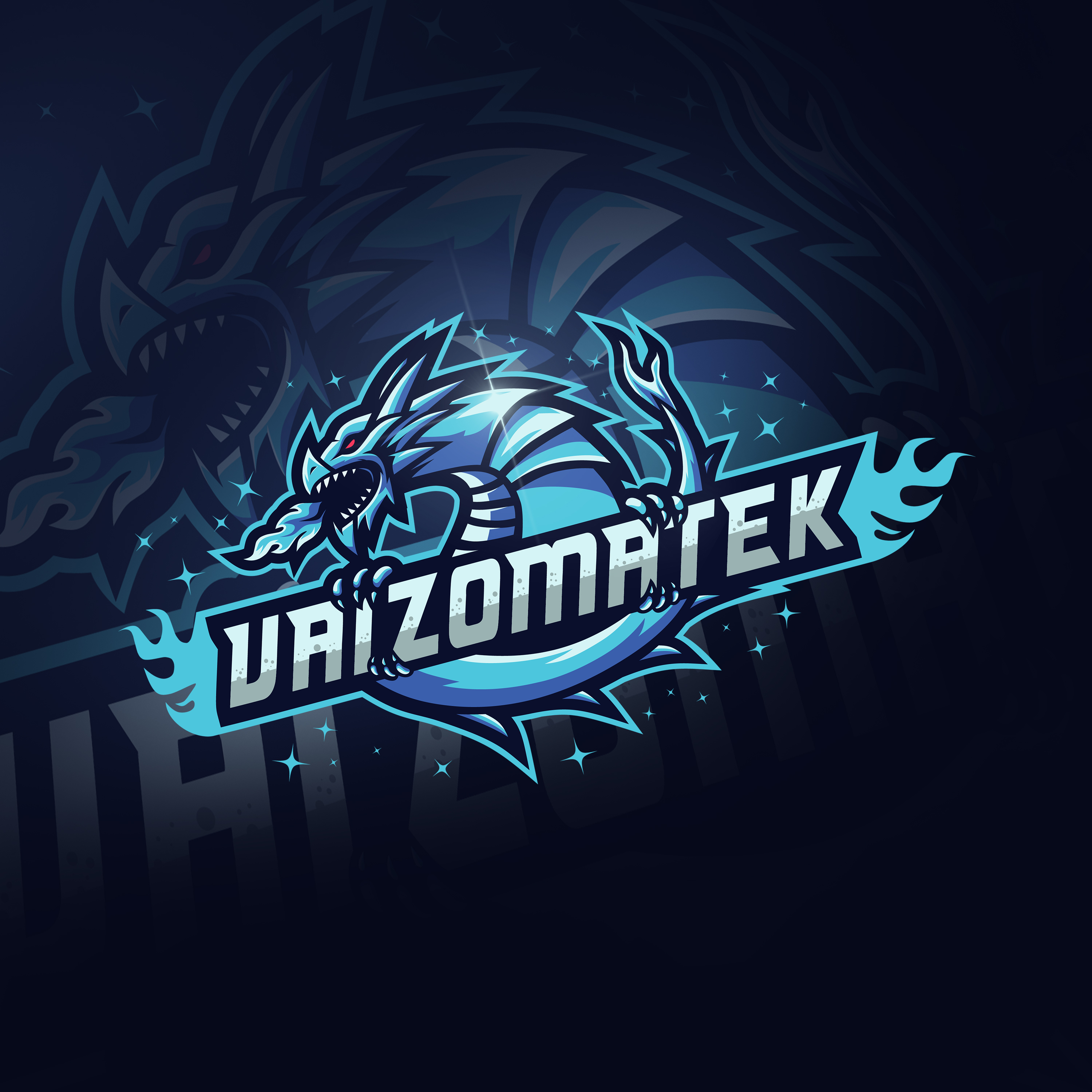 VAIZOMATEK 1