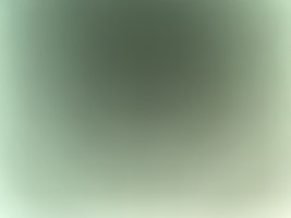 Invitation Banner
