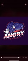 ANGRY EAGLES