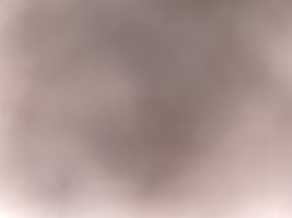 Invitation Banner