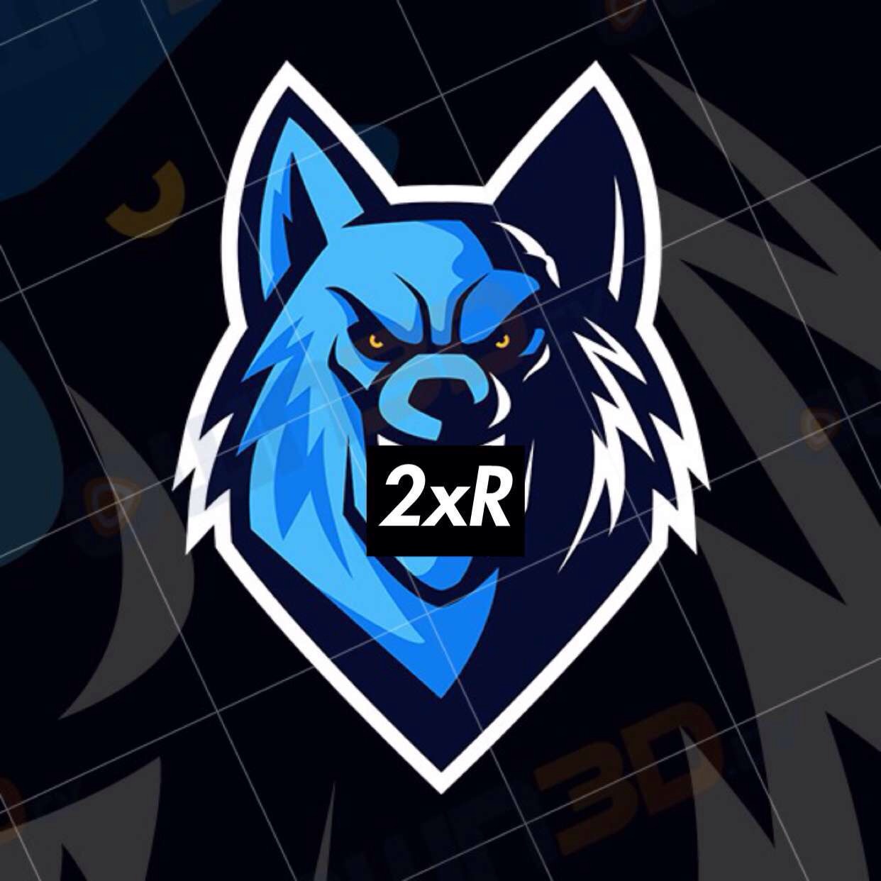 2xRR