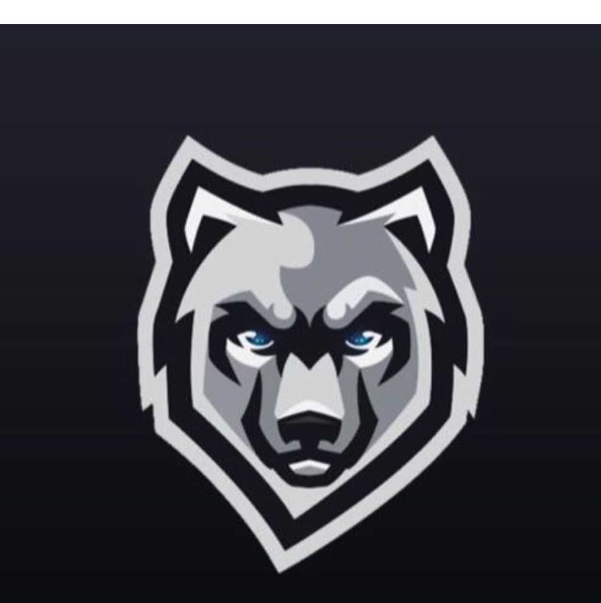 Wolf Esport 2
