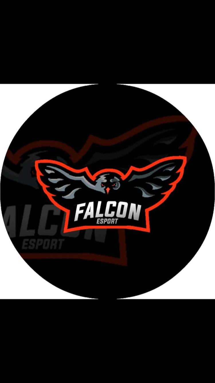 Team Falcon