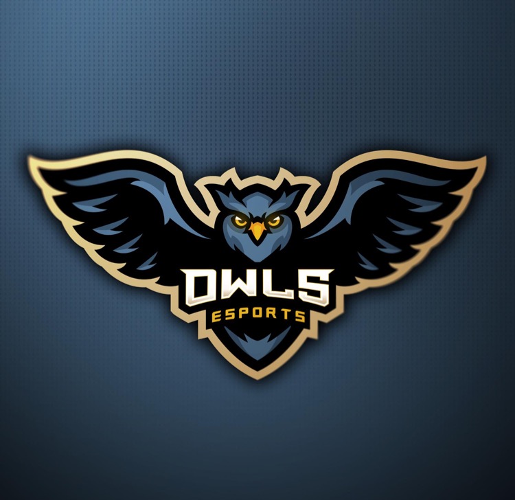 OWLESPORTS7