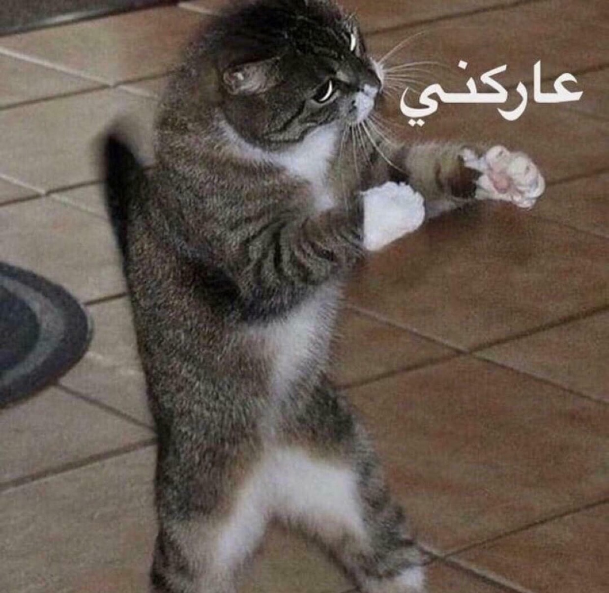 2lqh
