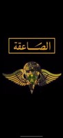 Saudi Thunderbolt Soldiers
