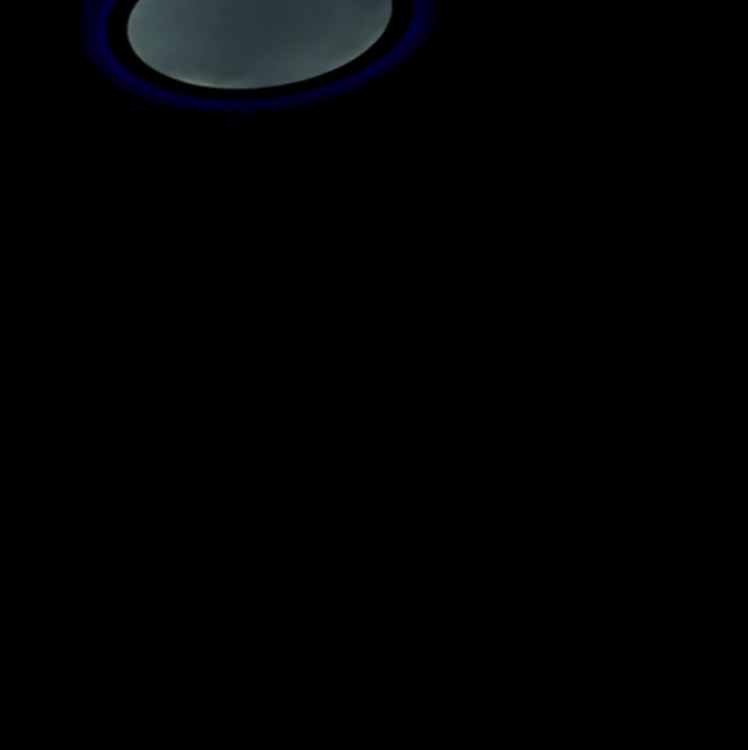rRealpwoer
