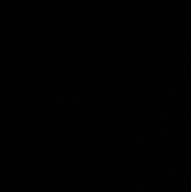 nrllm