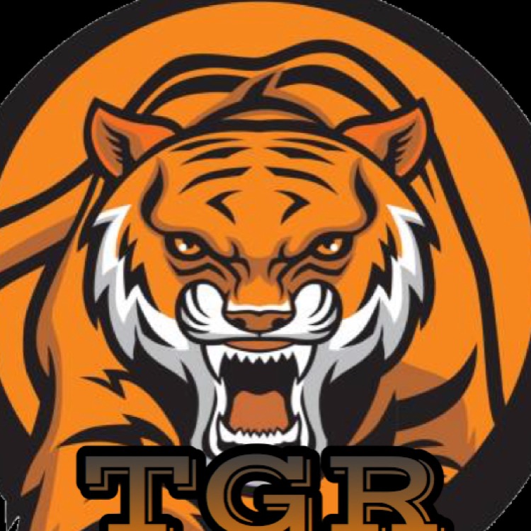 Tigers _ Esports 
