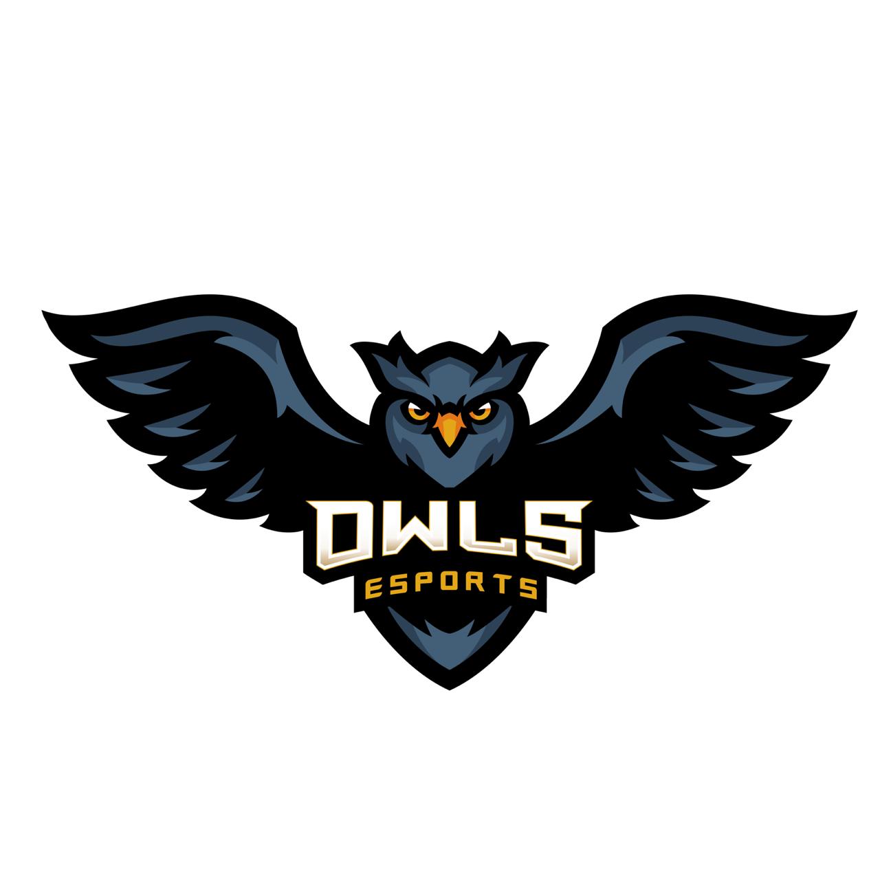 0wl.Esports
