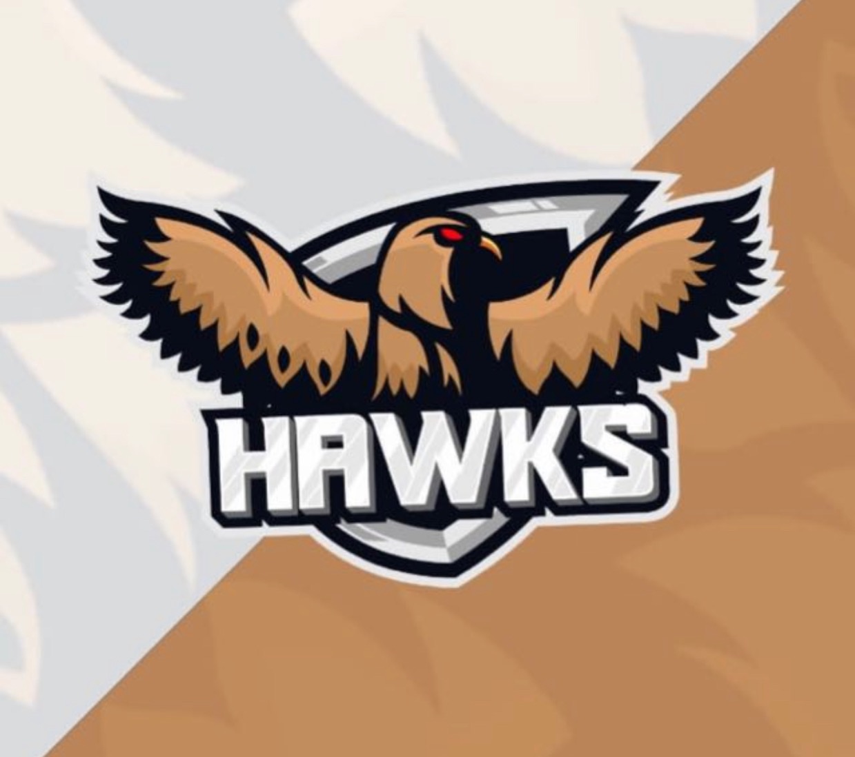 Hawks eSports FN6