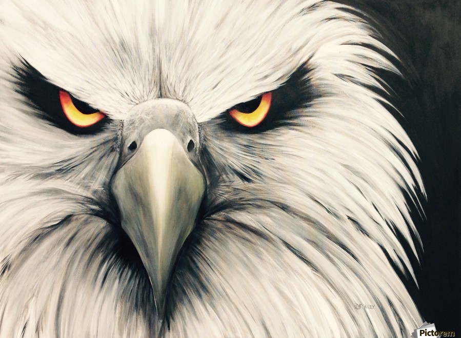 Eagels