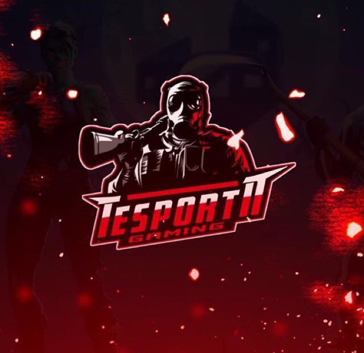 MSI TN SPORTS