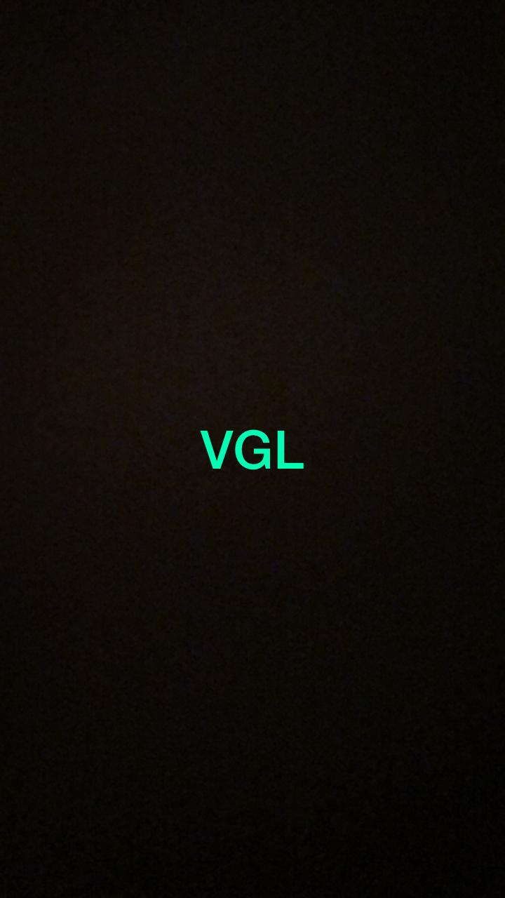 Vigilantes