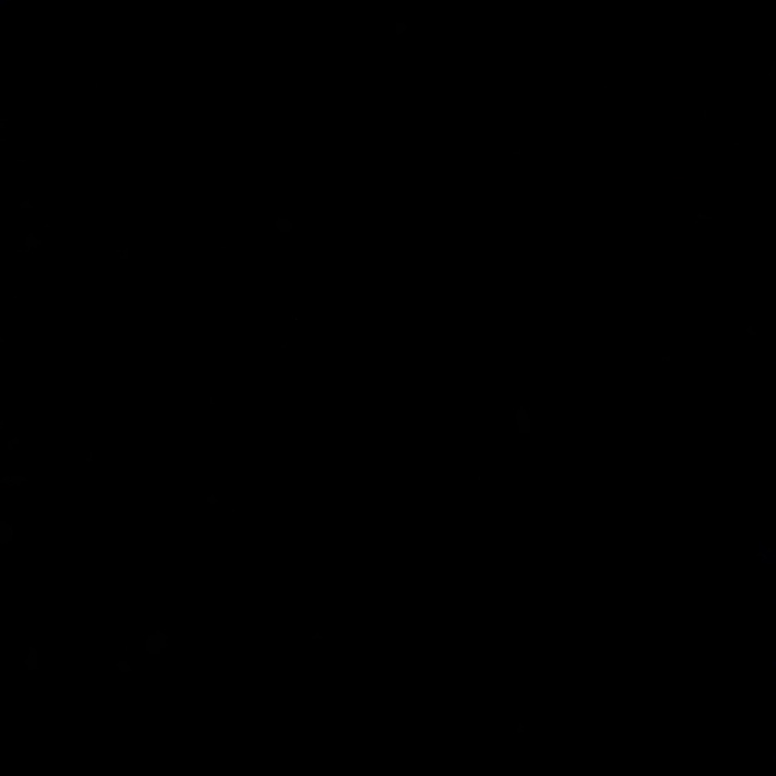 Lbwa