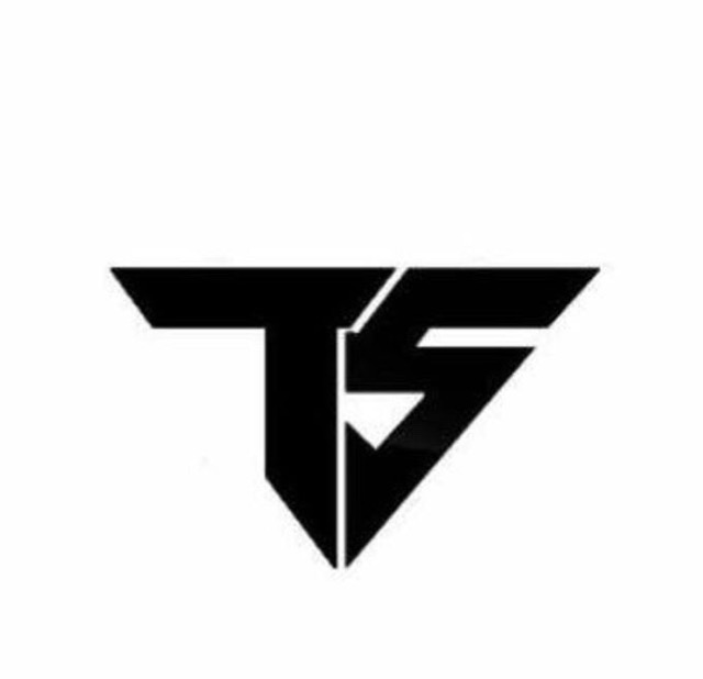 Ts Tactical eSports