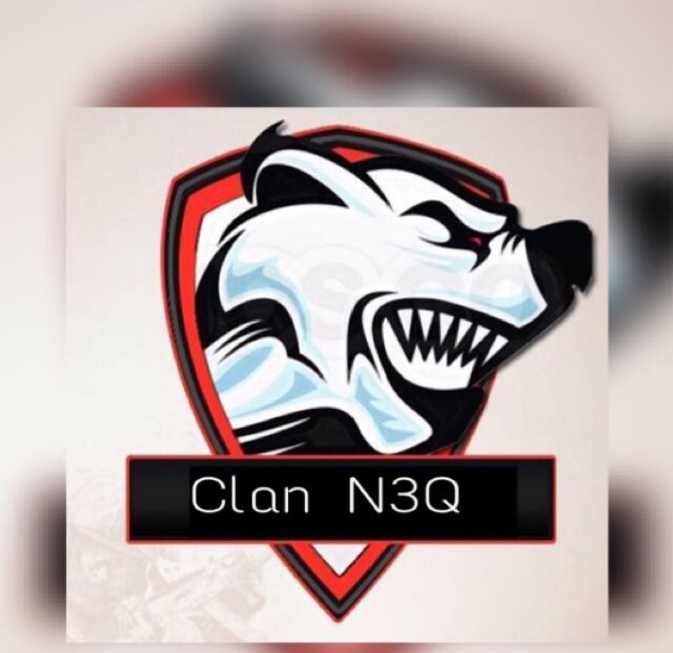 N3Q 