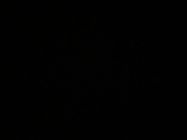 Invitation Banner