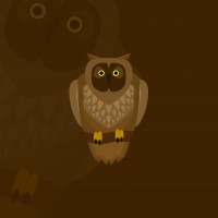 OWllS