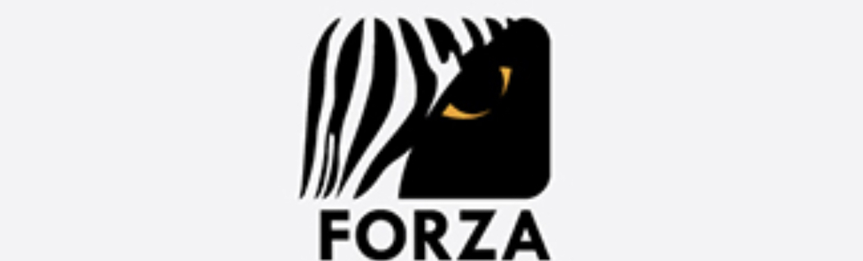 Turki forza