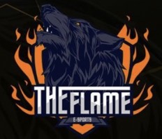 Flame esports