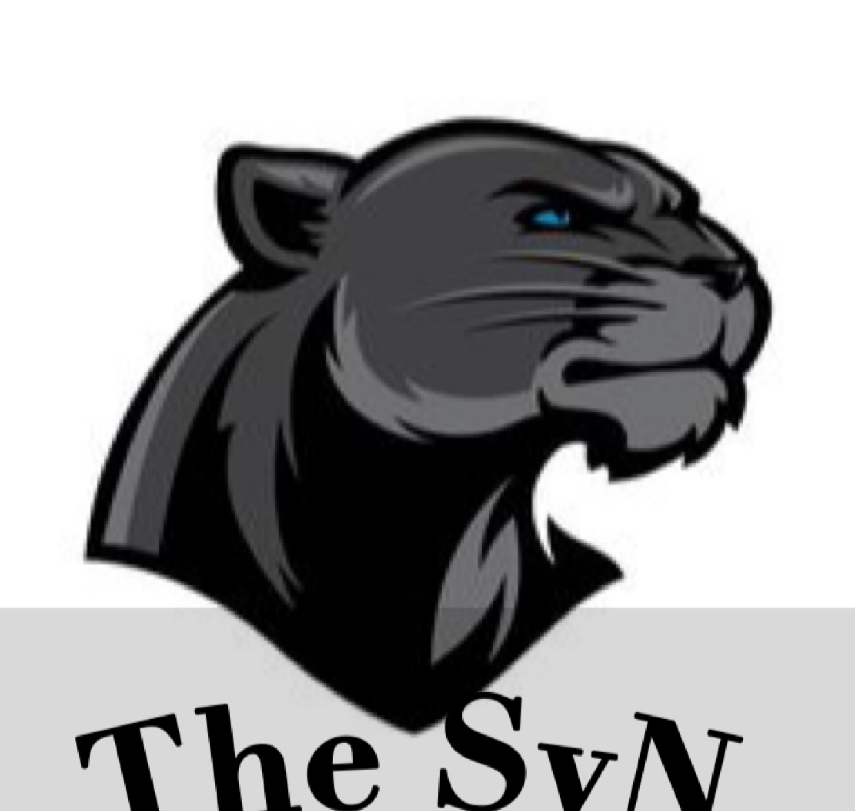 LvSa