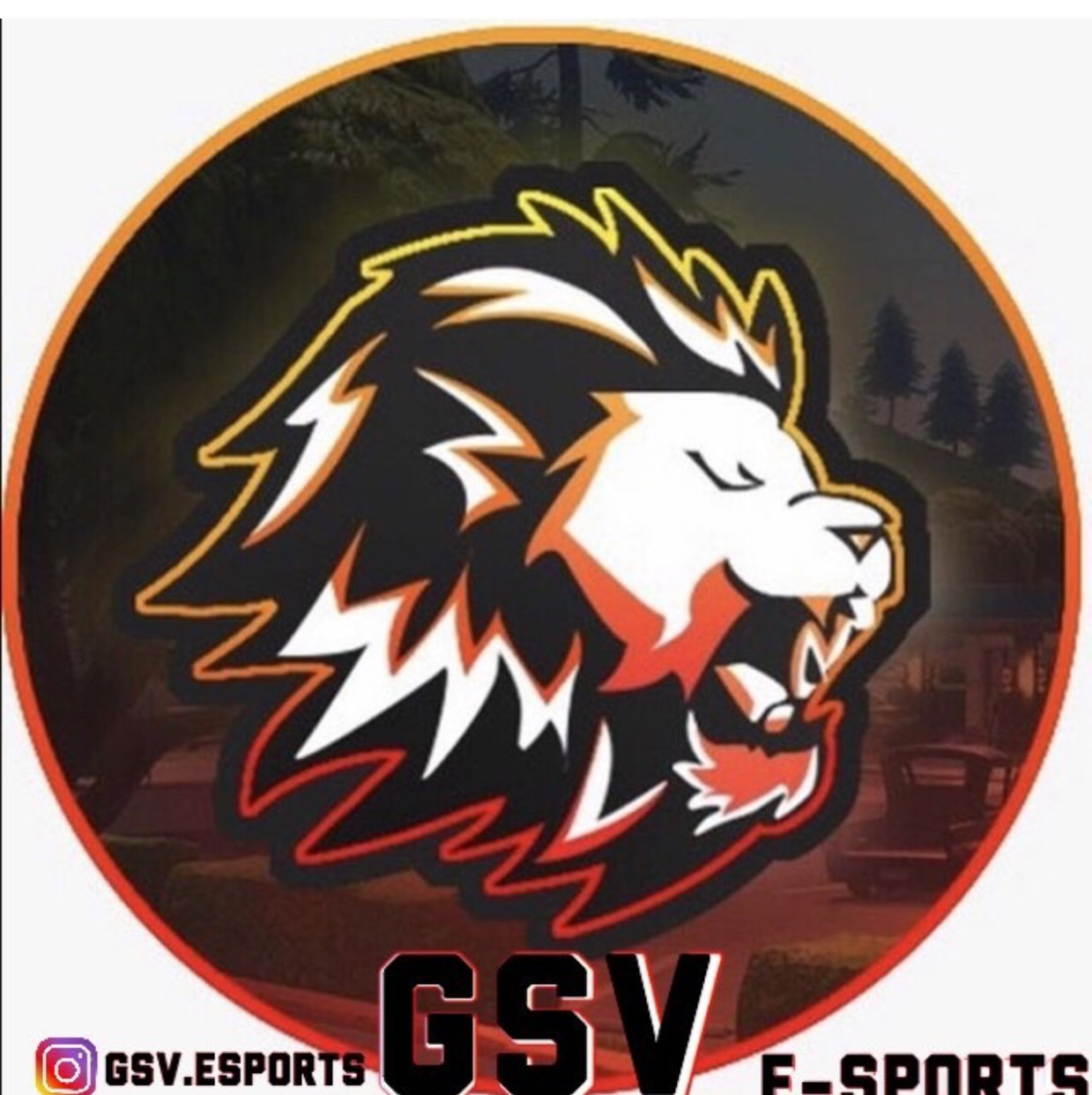 E-Sport-