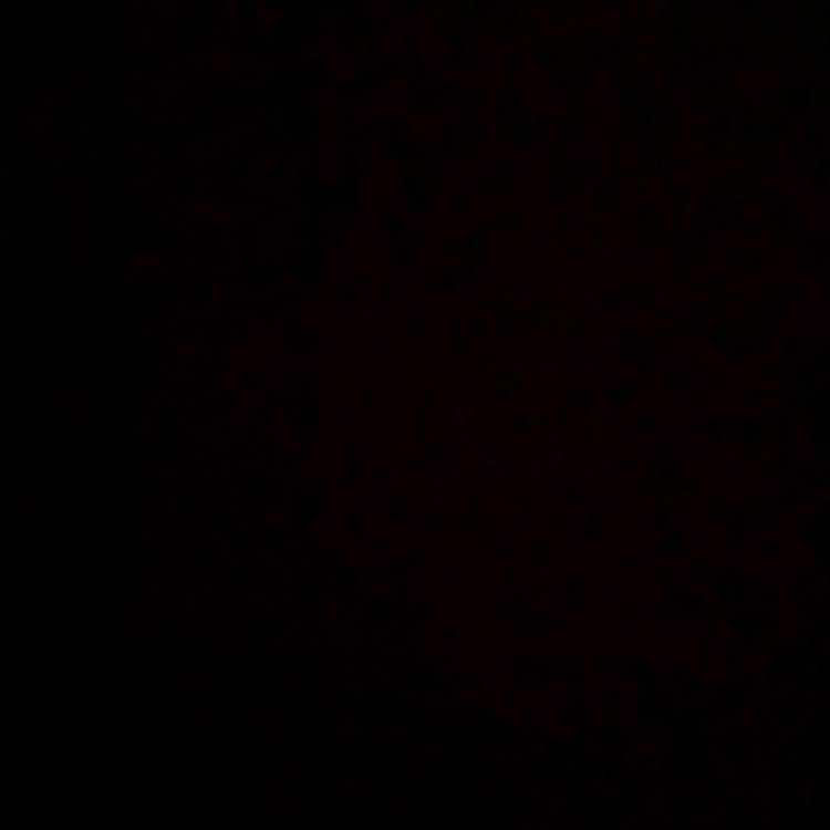 IG  FANSSS