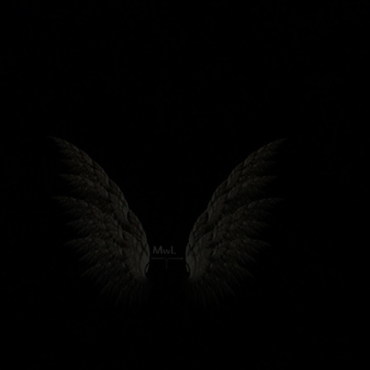  MwL5
