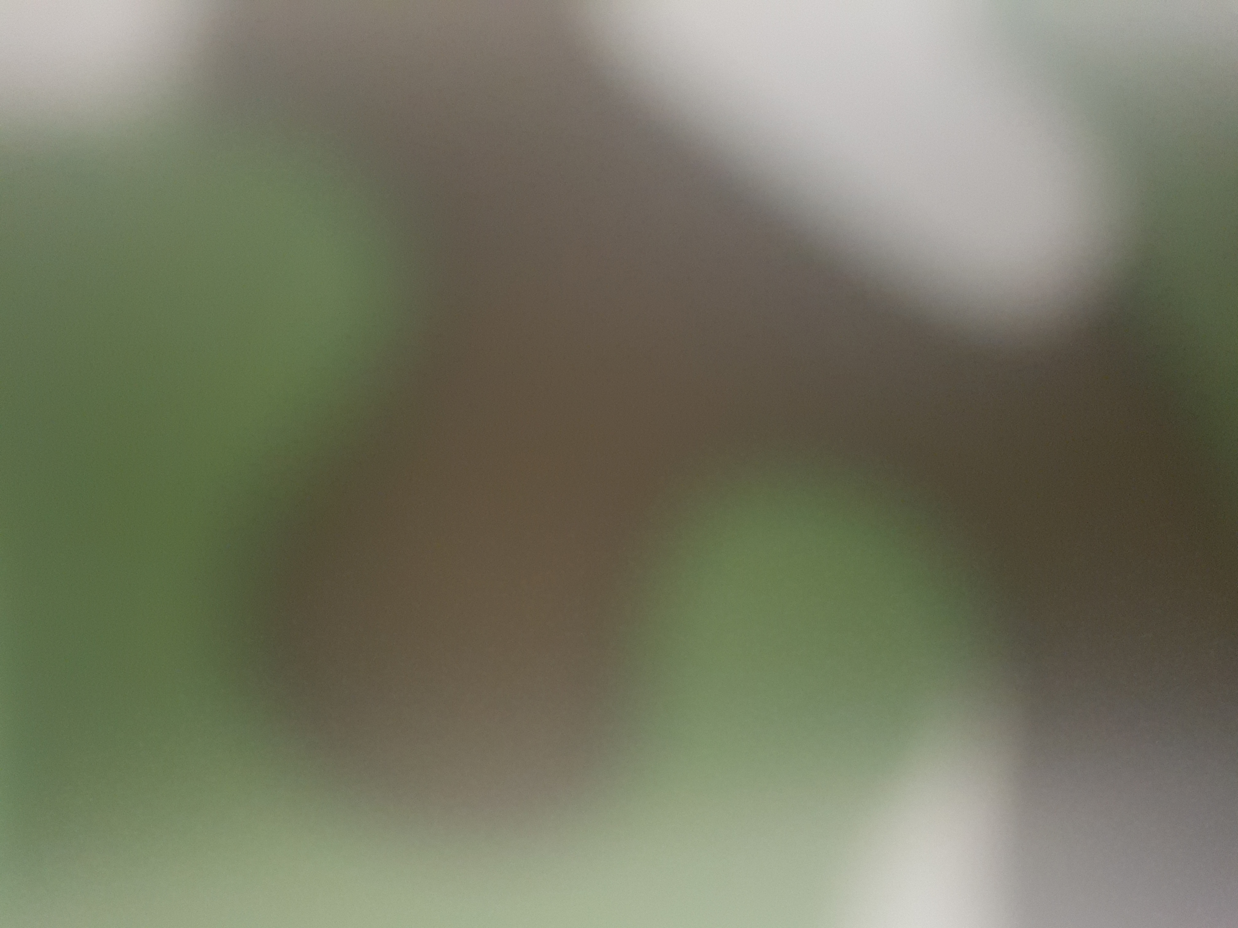 Invitation Banner