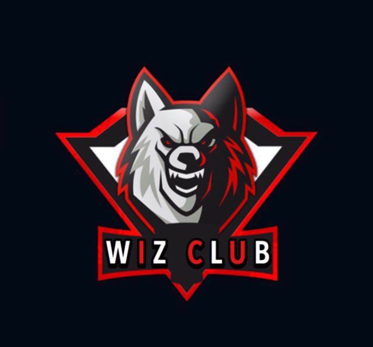      WIZ CLUB