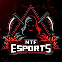 NTF ESPORT