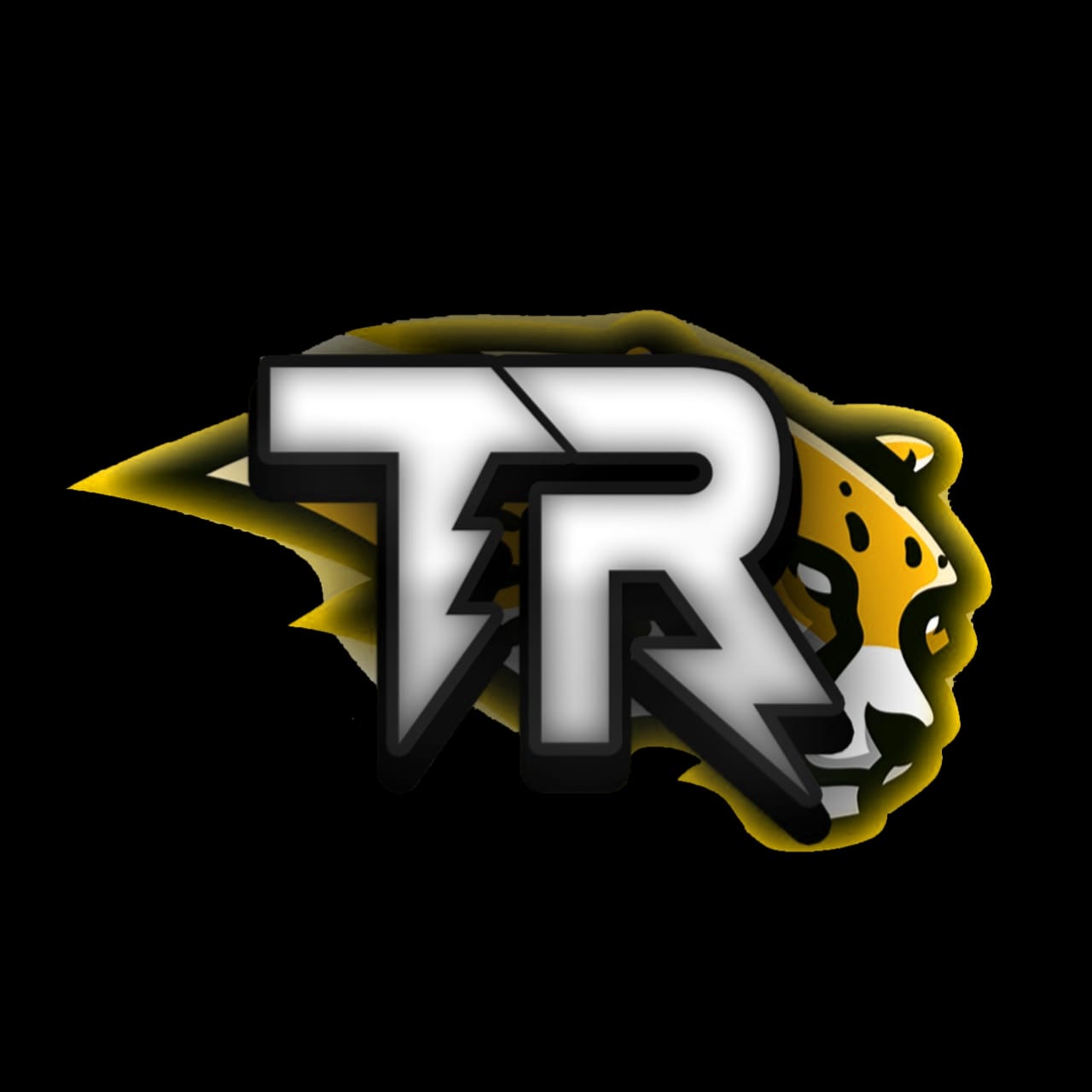 Thunder e sport 16