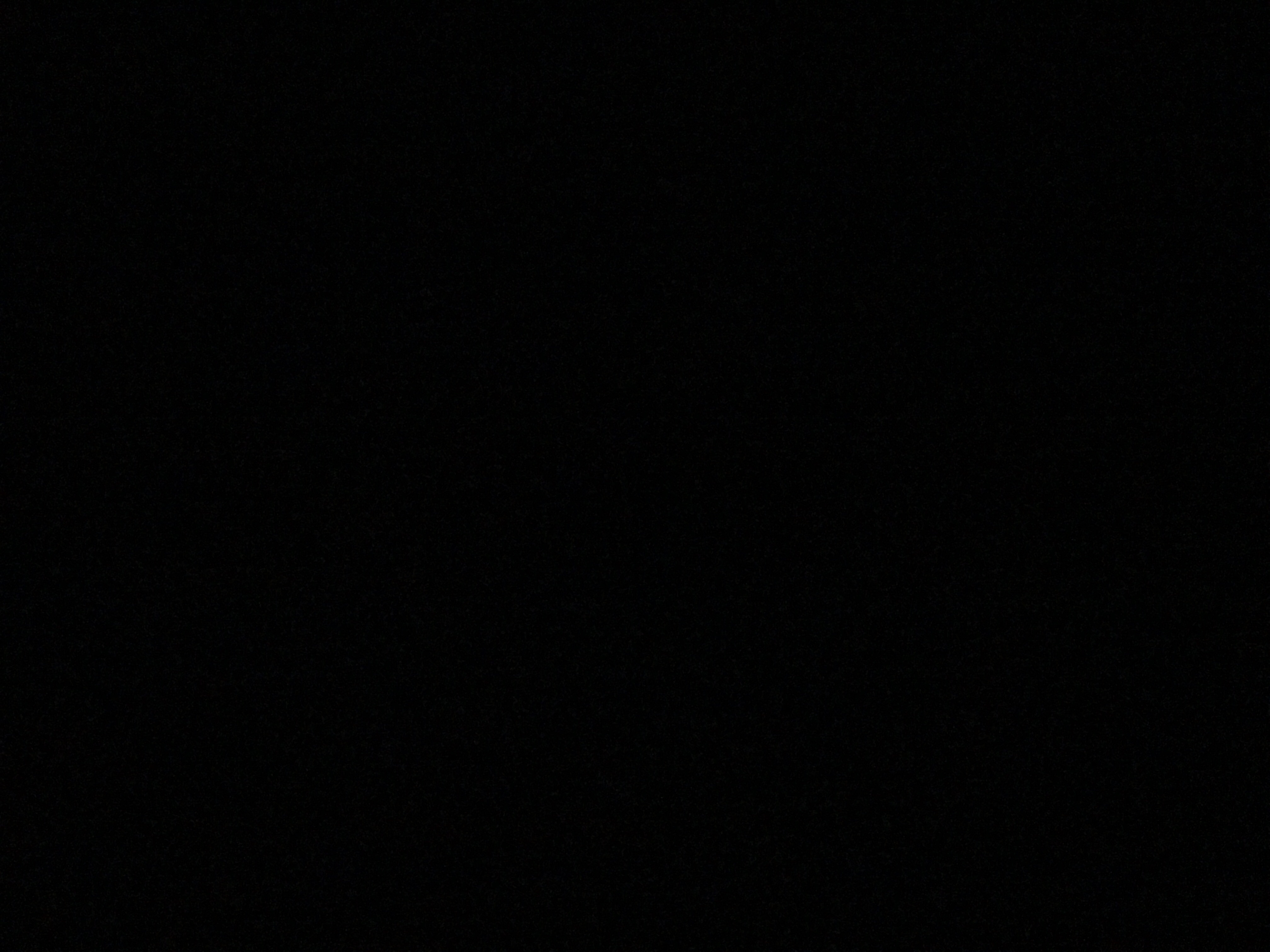 cydia