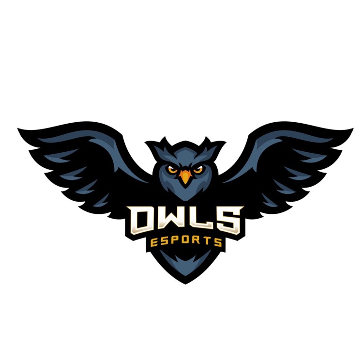 Natus Vincere