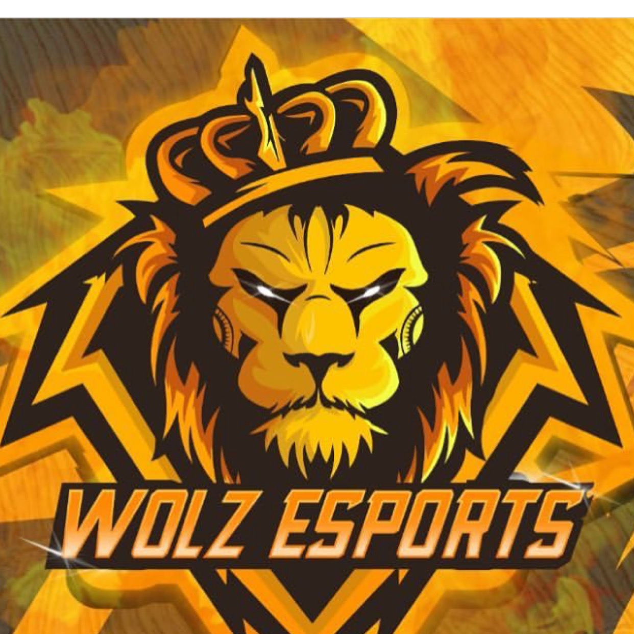 wolzxsespor