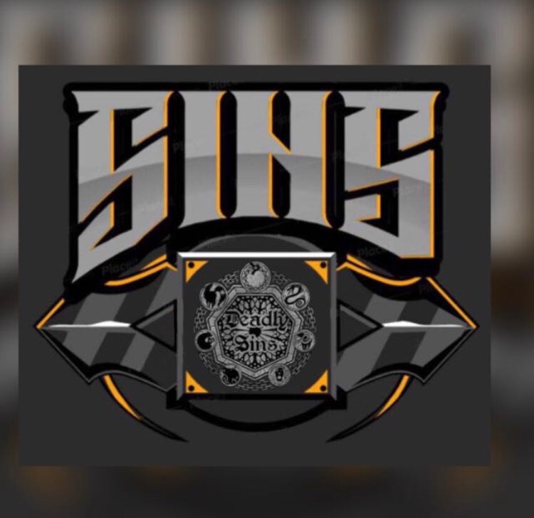SiNS_3