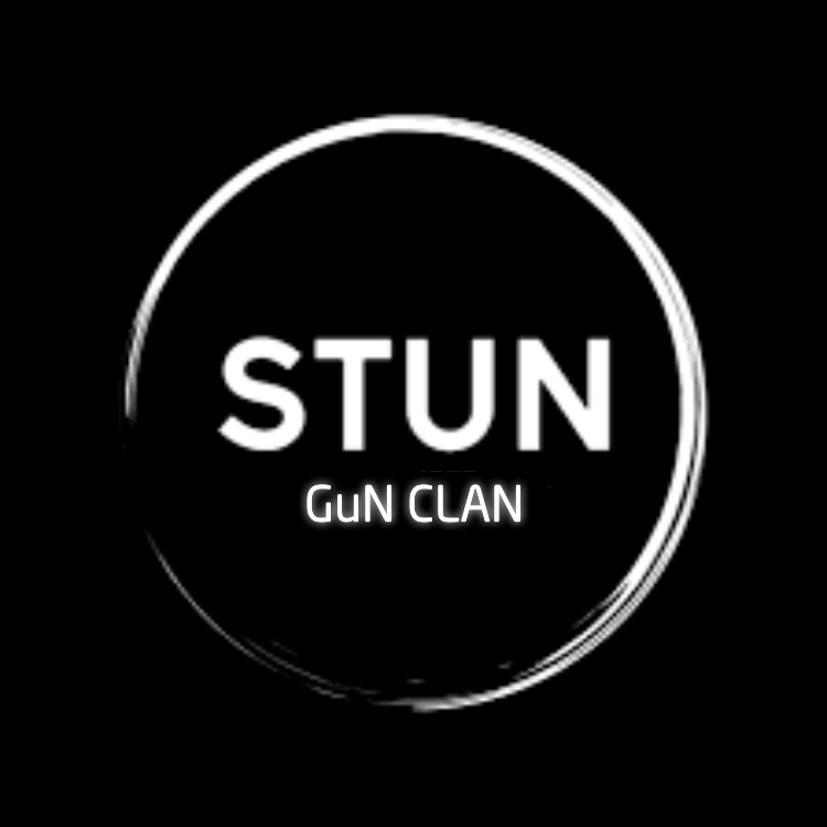 STuN GuN