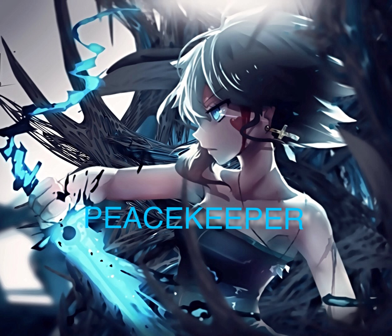 PEACEKEEPEER