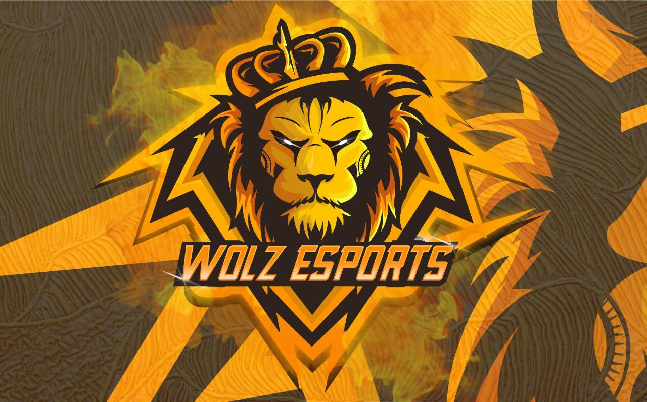 Wolzesports 1