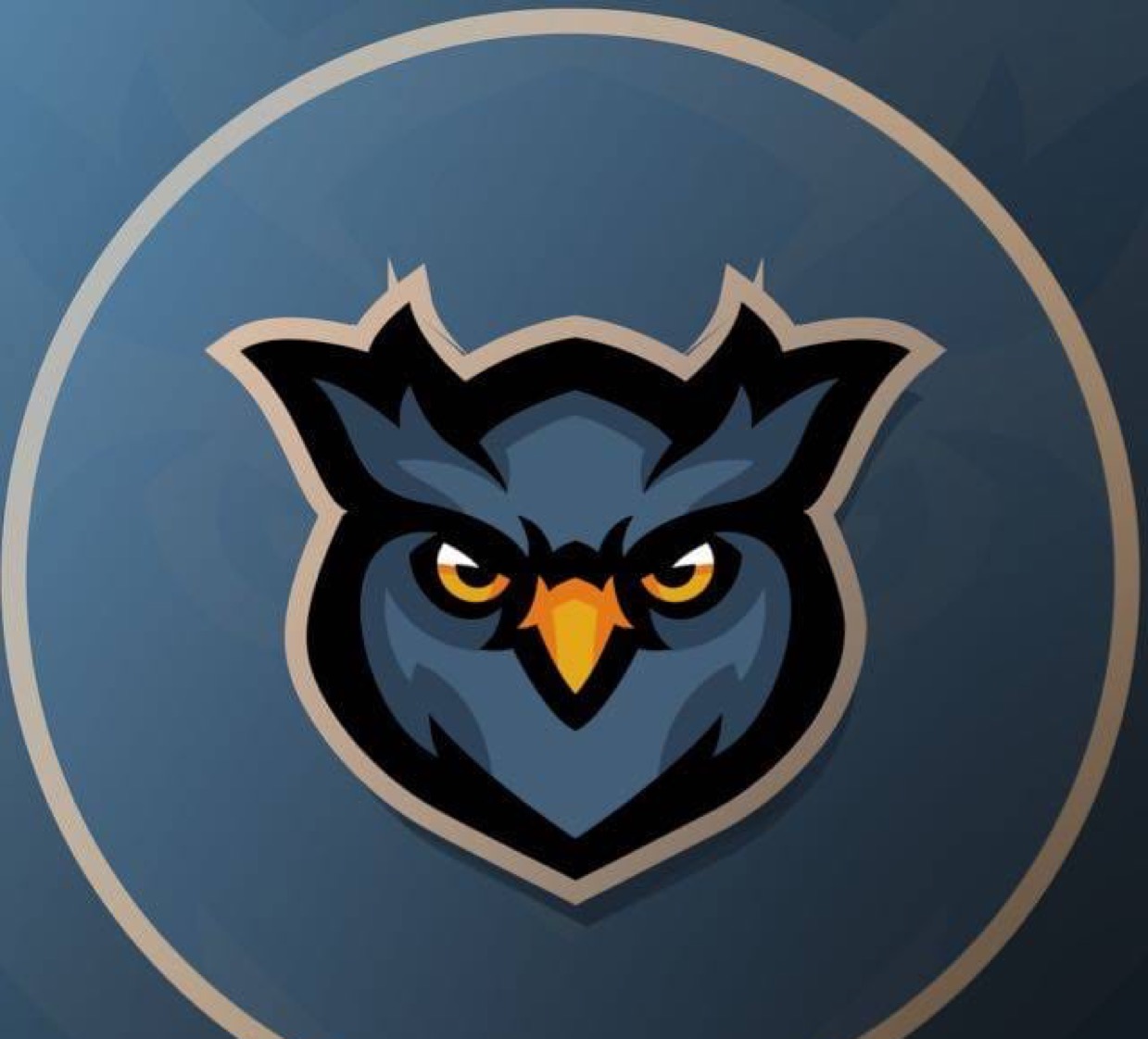 OWL Esports0