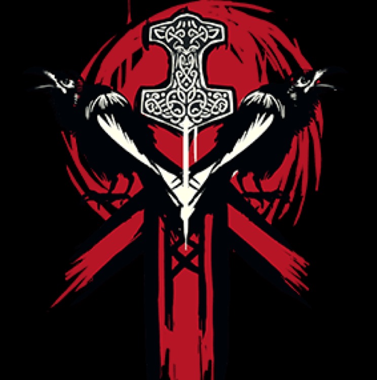 The Real Vikings 