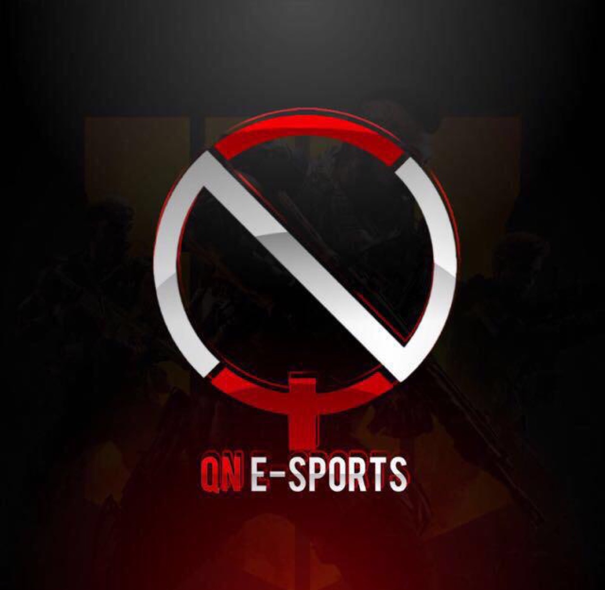 qn esport