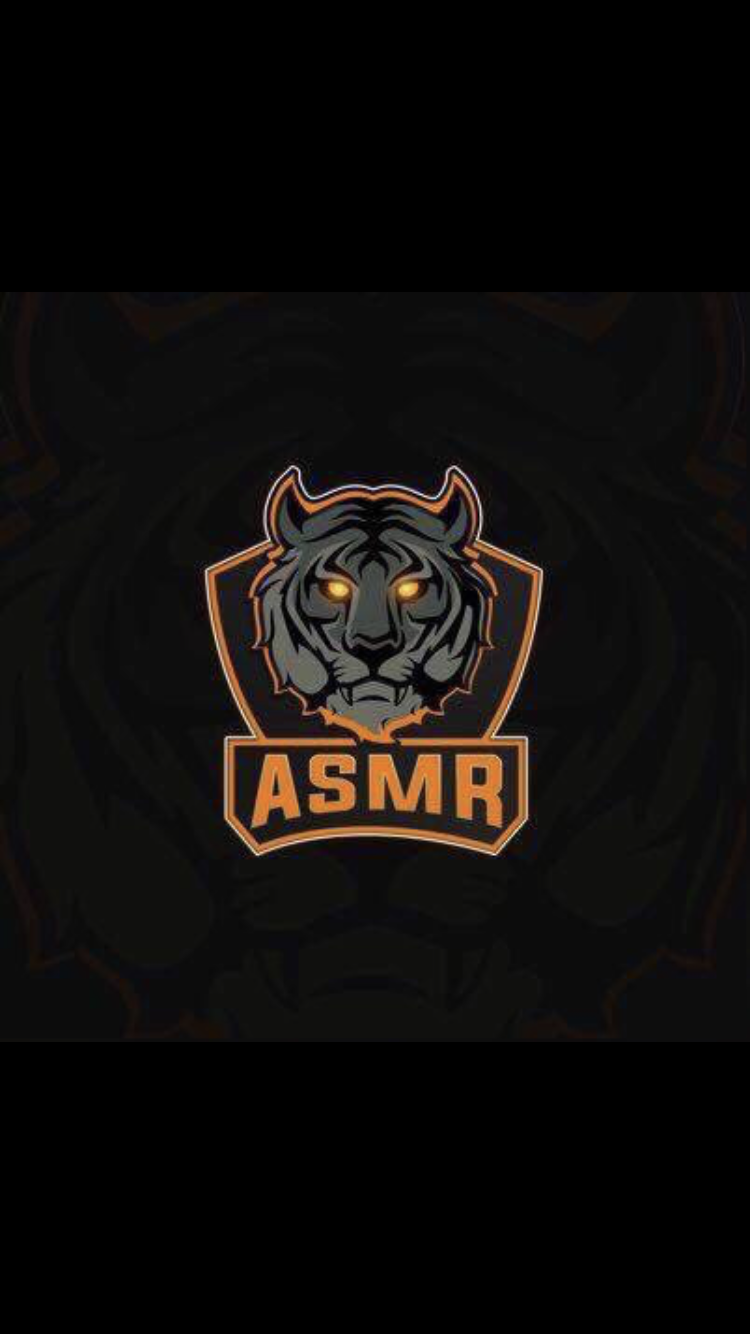 ASMReSports77