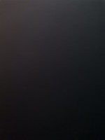 Dark Bolet