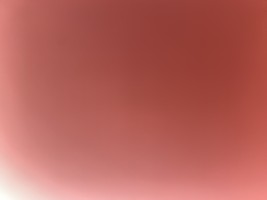 Invitation Banner