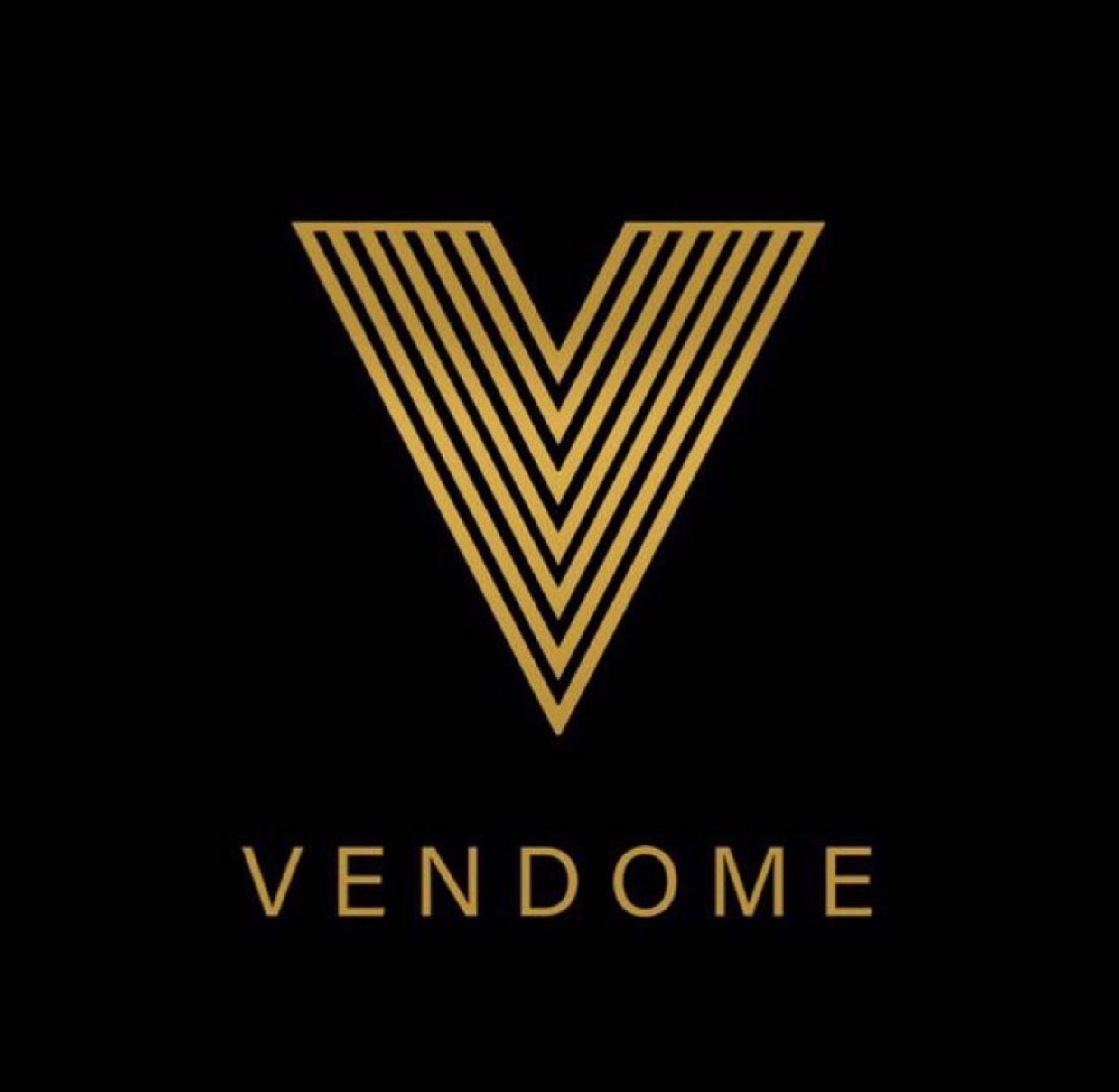  VNDesports