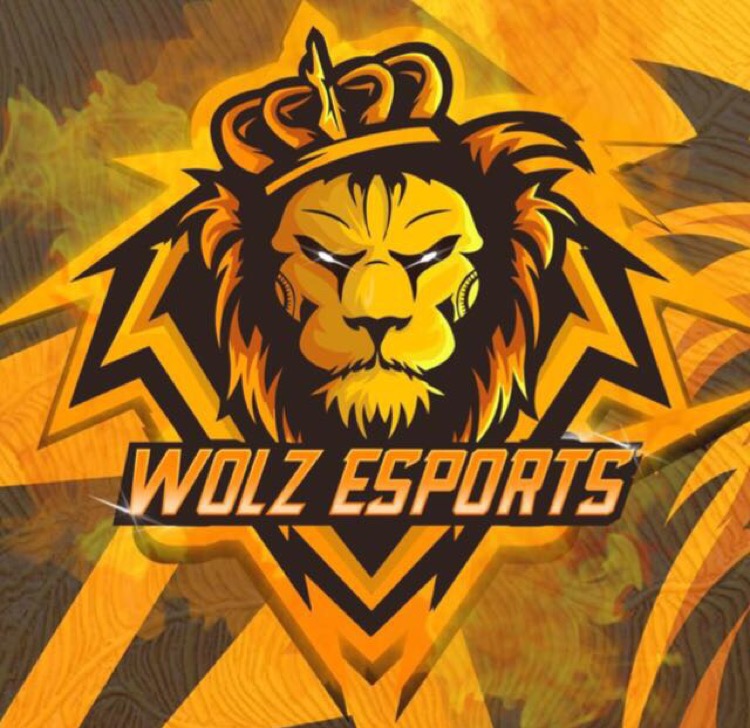 WoLzEsports88