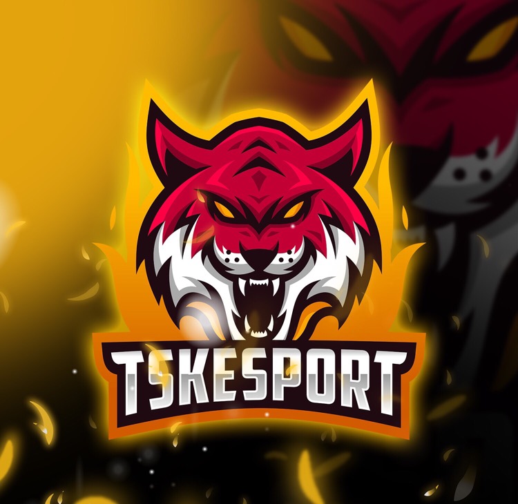 TSKESPORT3
